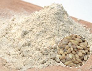 Barley Flour