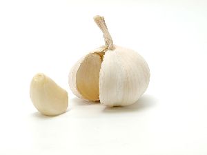 Fresh Garlic