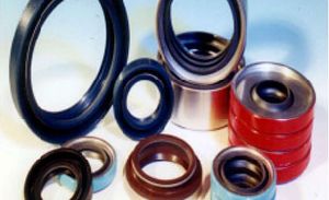 oil seals