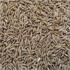 Brown Cumin Seeds