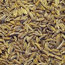 fresh cumin seeds