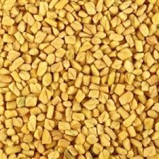 Fresh Fenugreek Seeds