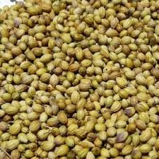 Indian Coriander Seeds