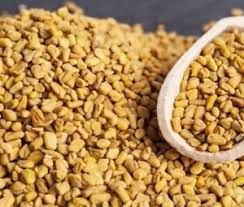 Premium Fenugreek Seeds