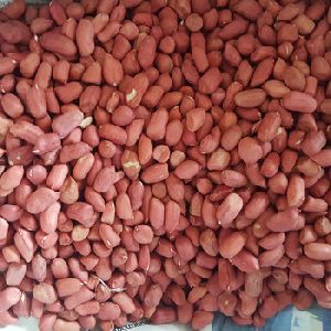 Red Groundnut Kernels