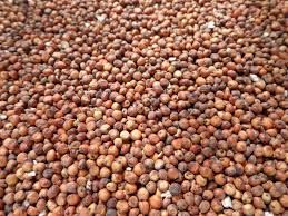 Red Sorghum Seeds