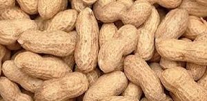 Shelled Groundnuts