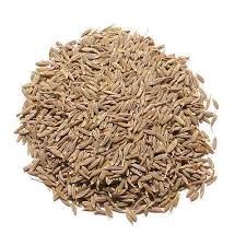 whole cumin seeds