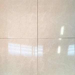 Plain Vitrified Floor Tiles
