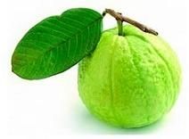 Fresh Guava