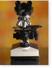 Inclined Binocular Microscopes