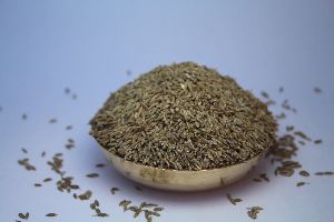 Cumin Seed