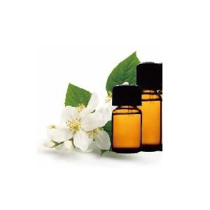 Jasmine Grandi Absolute Oil