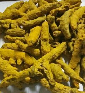 Curcuma Turmeric Finger