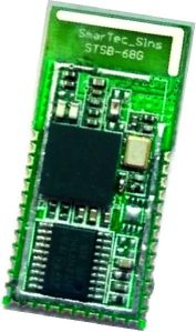 Bluetooth Module