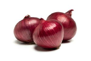 Indian Red Onion