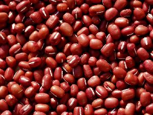 Adzuki Beans