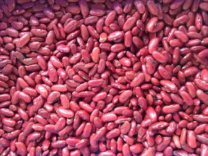 Large Lima Beans