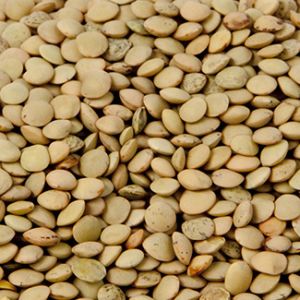 Richlea Lentils