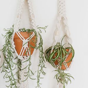 Macrame Plant Hangers