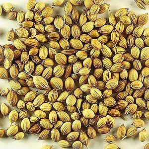 Coriander Seed Oil