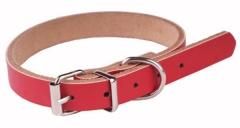 Dog Collar