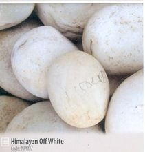 white pebble