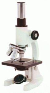 Student School Microscope