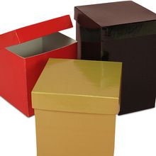 cardboard Square flower gift box