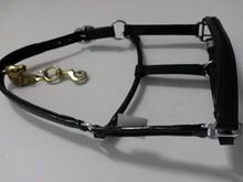 Horse Halters