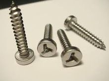 bolt security screw