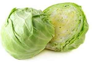 Cabbage