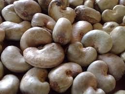 Raw Cashew Nuts