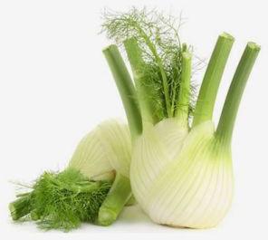 Fennel