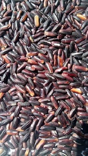 black rice