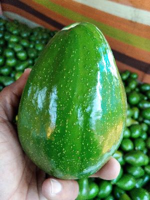 Fresh Avocado