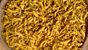 turmeric finger