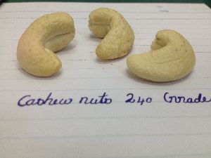 Crispy cashew 240 Grade