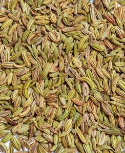 Fennel Seed