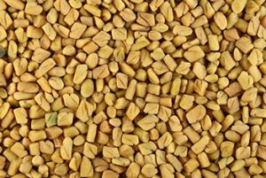 Fenugreek Seed