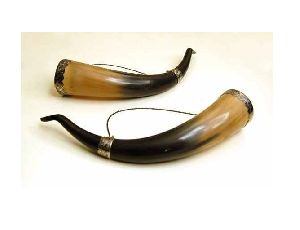 Drinking Horn