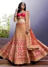 Fish Cut Lehenga Choli