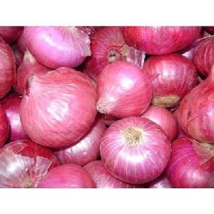 Pink Onion