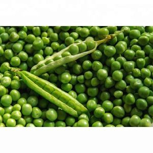 Green Peas