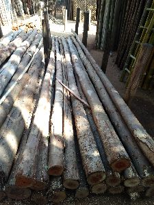 Eucalyptus poles