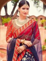 Bridal Lehenga Choli