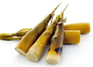 Bamboo shoot