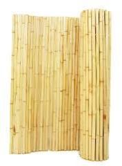 Exterior Bamboo Fence