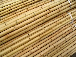 Raw Bamboo