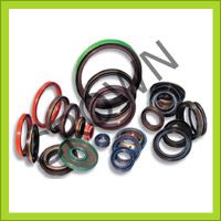 Oil Seal